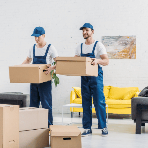 Professional Excellence: Kerala Road Lines Packers and Movers Handle Every Assignment with Precision